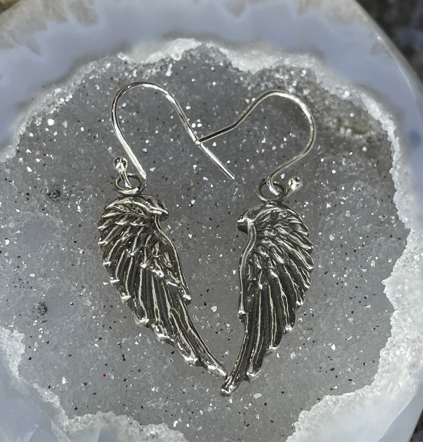 Large Angle Wing Dangle Earrings