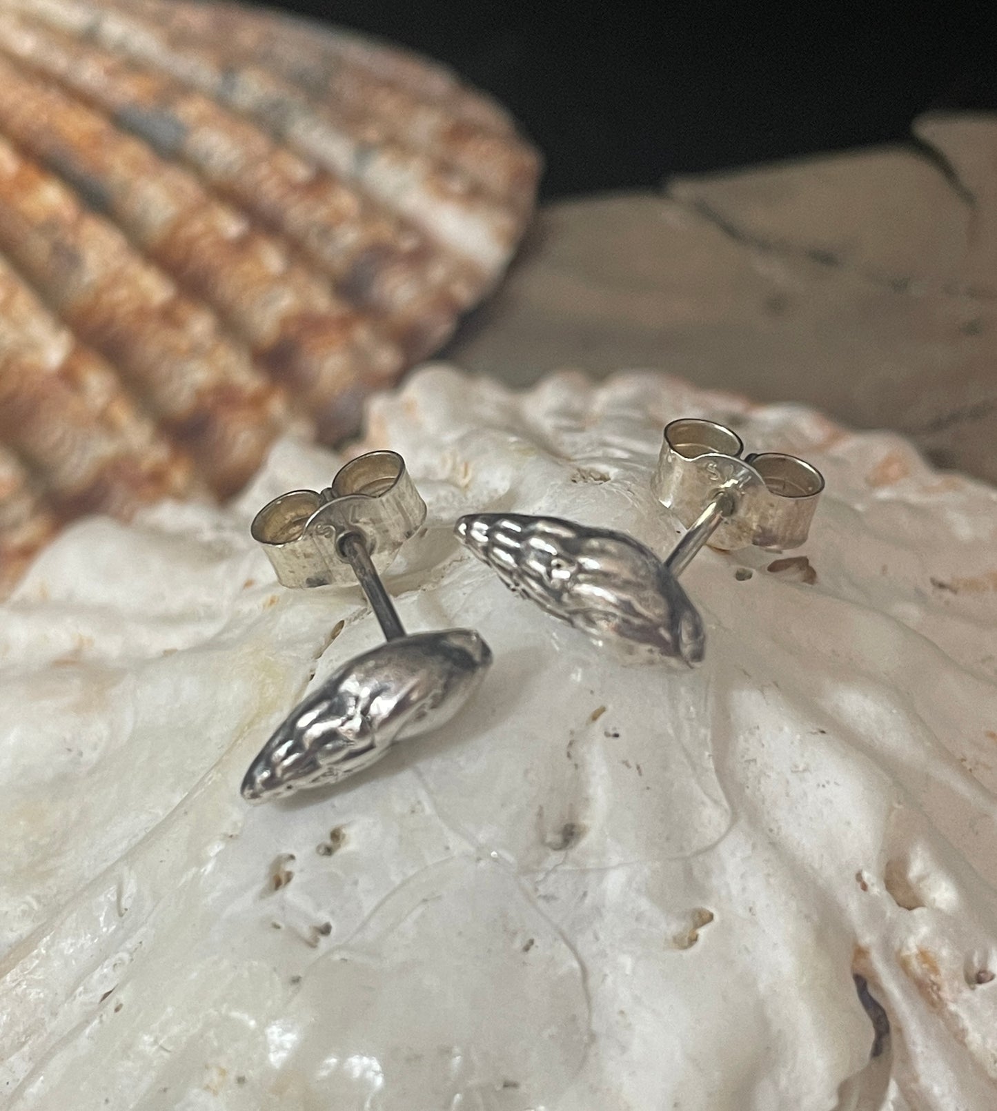 Tiny Dorset whelk shell earrings