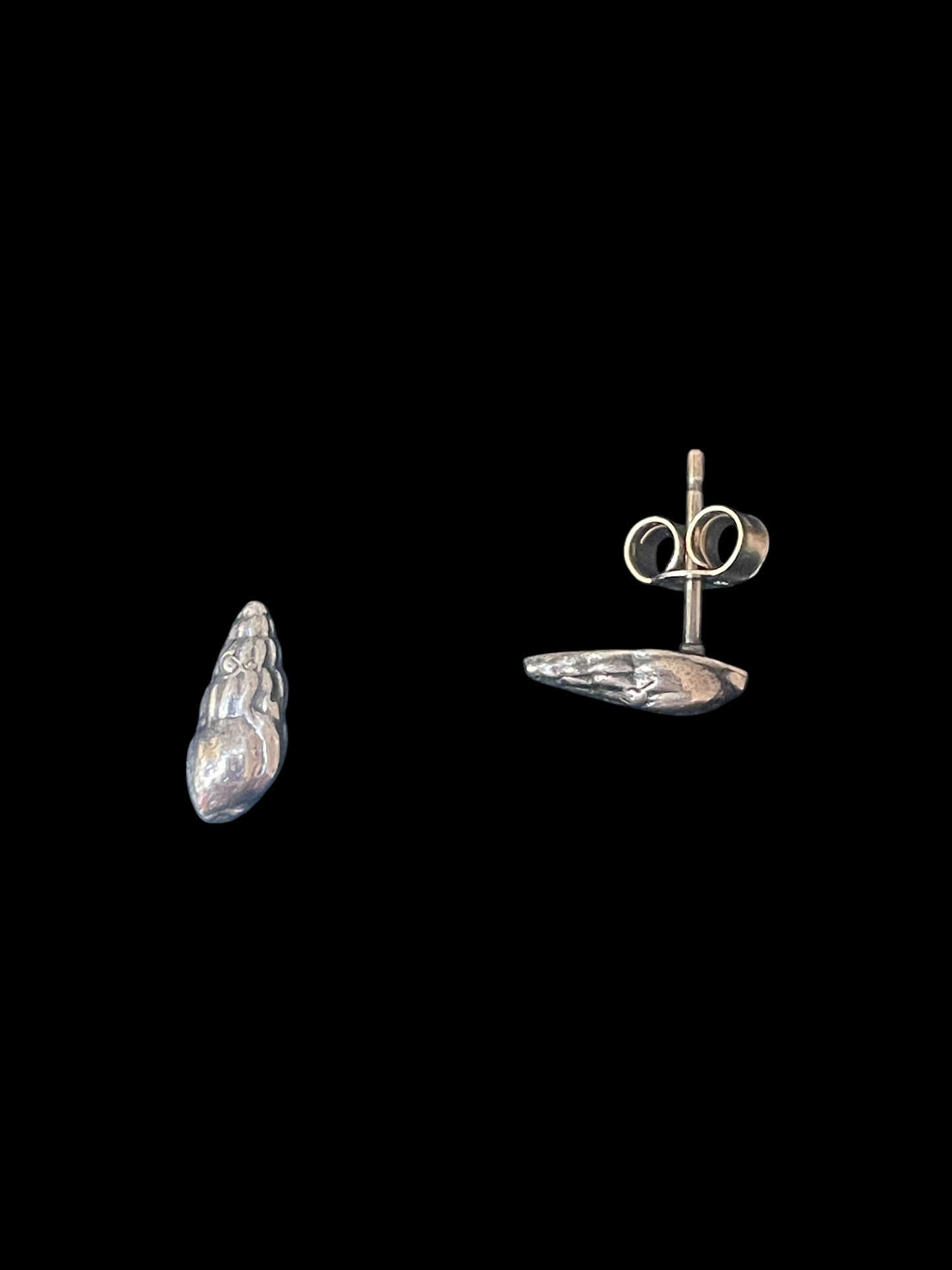Tiny Dorset whelk shell earrings