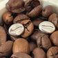 Coffee Bean Stud Earrings