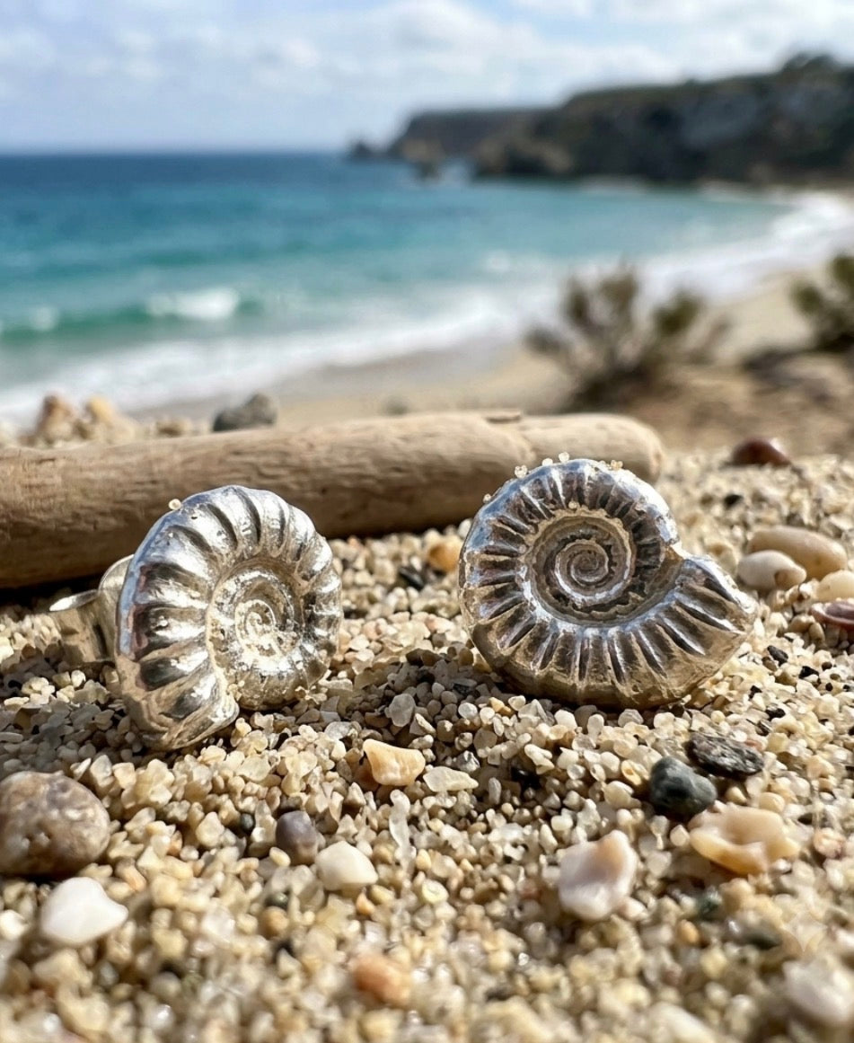 Silver Ammonite Fossil Stud Earrings