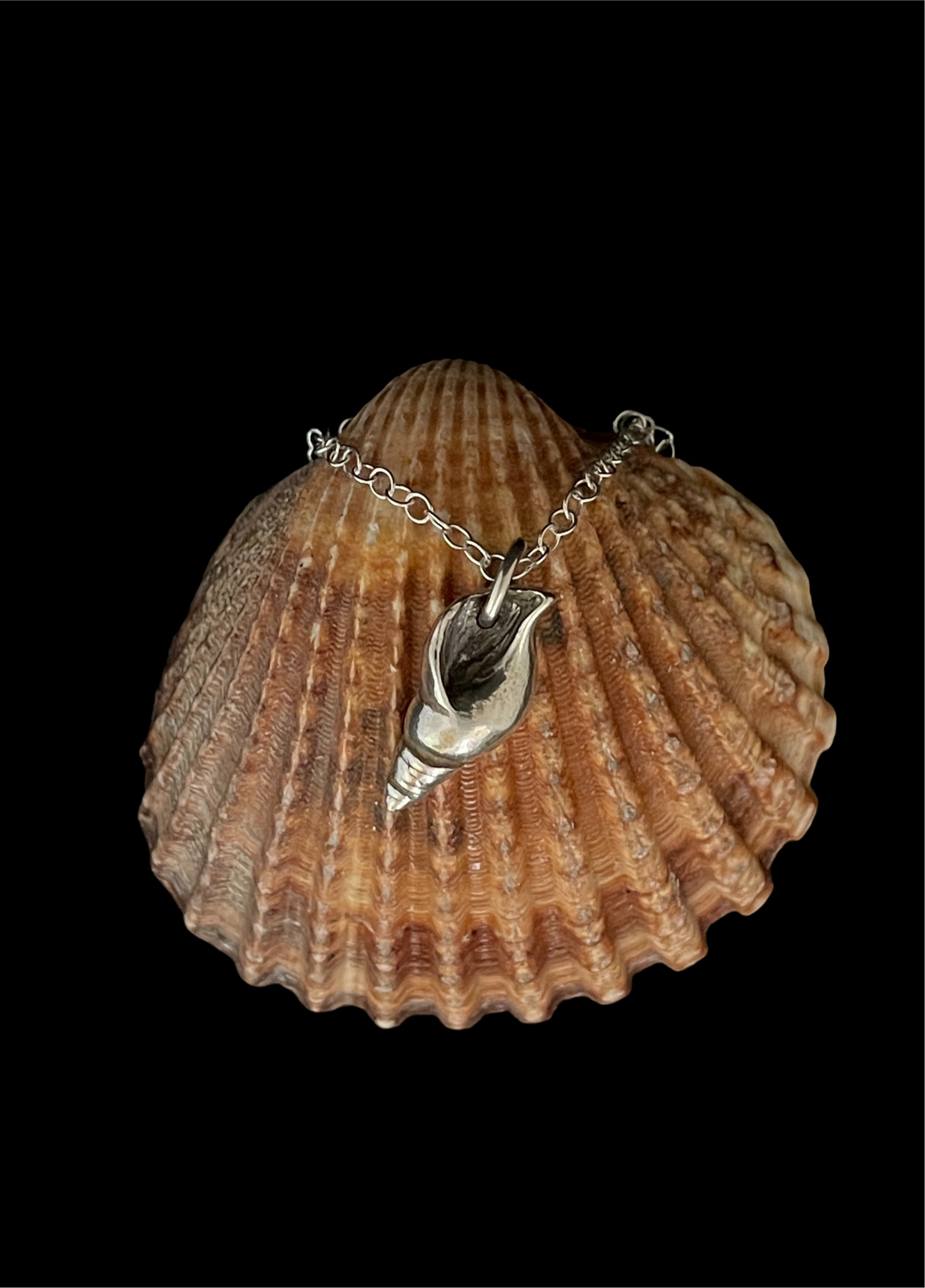 Smooth whelk pendant