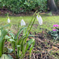 Silver Snowdrop Flower Pendant