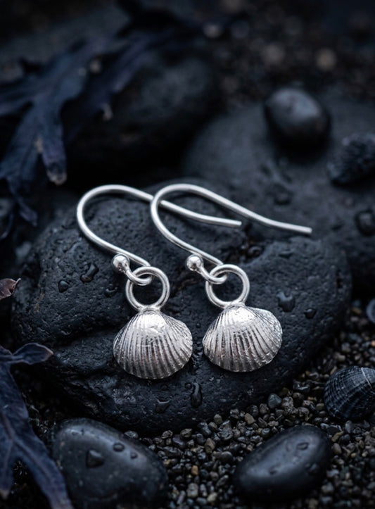 A pair of silver dangle earrings shaped like textured scallop or cockle shells, resting on dark wet rocks with small pebbles and seaweed around them.