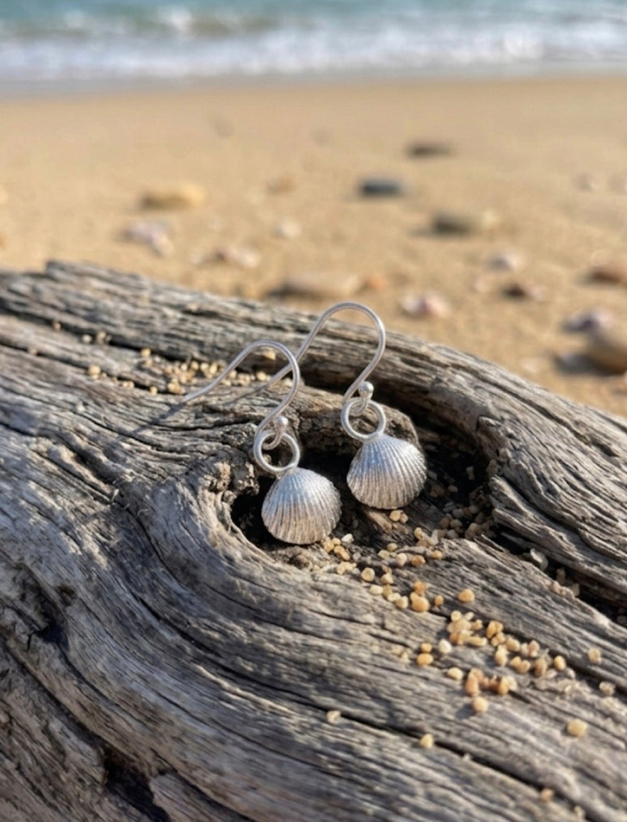 A pair of silver cockle or scallop shell drop earrings resting on a piece of weathered driftwood on a sandy beach with the ocean waves blurred in the background.