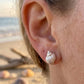 Sandbanks Whelk Shell stud earrings