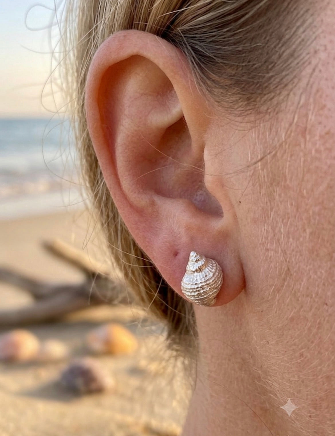 Sandbanks Whelk Shell stud earrings