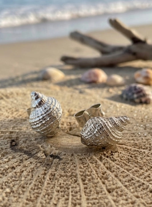 Sandbanks Whelk Shell stud earrings
