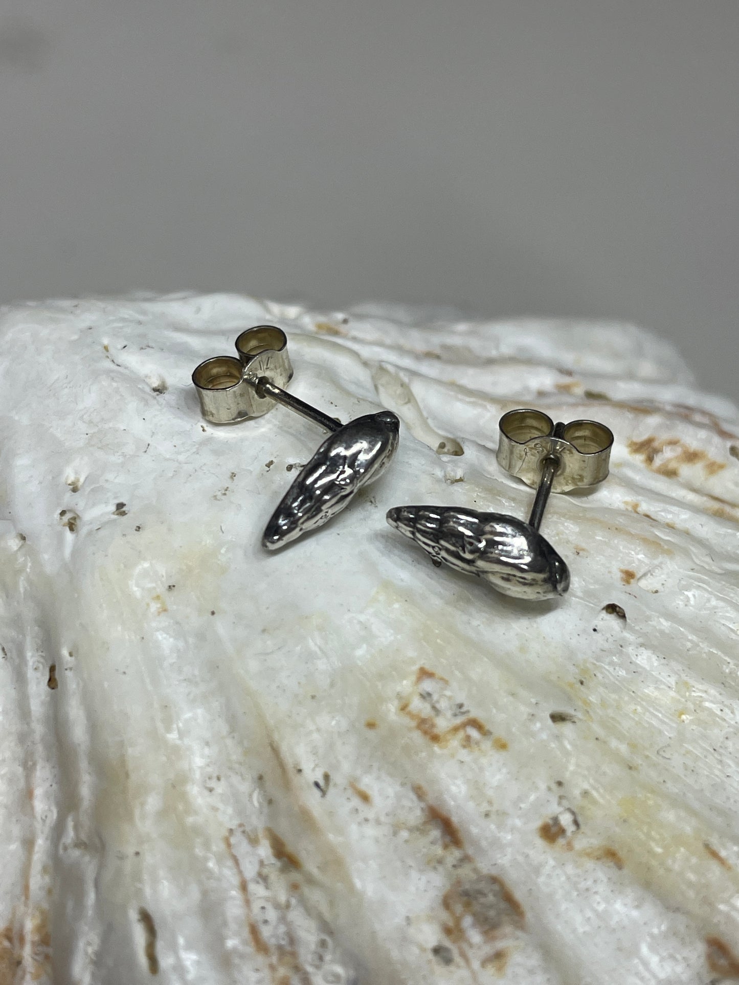 Tiny Dorset whelk shell earrings