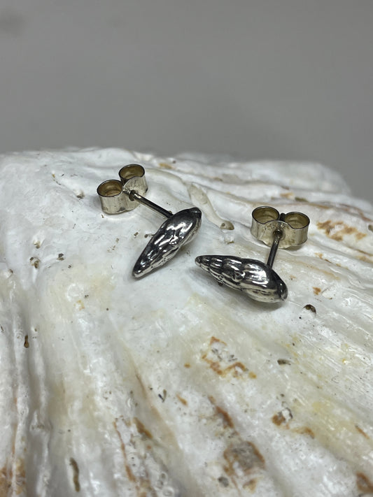 Tiny Dorset whelk shell earrings