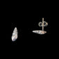 Tiny Dorset whelk shell earrings