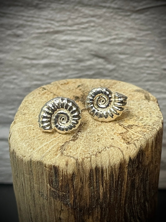 Silver Ammonite stud earrings