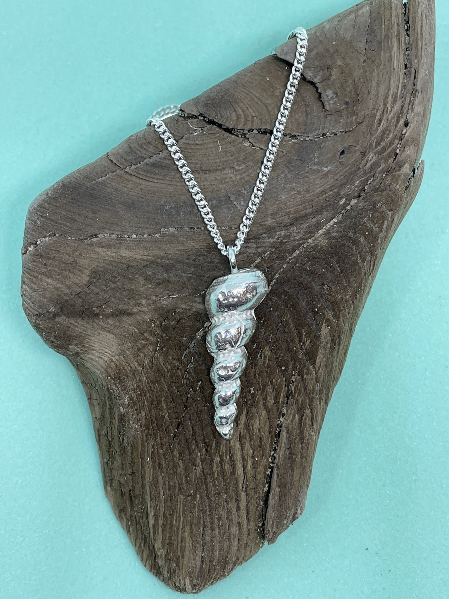 Dorset Auger Shell necklace