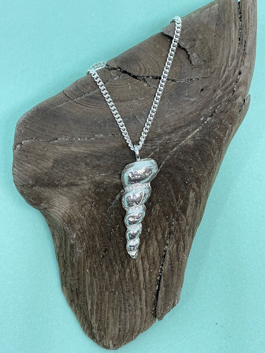 Dorset Auger Shell necklace