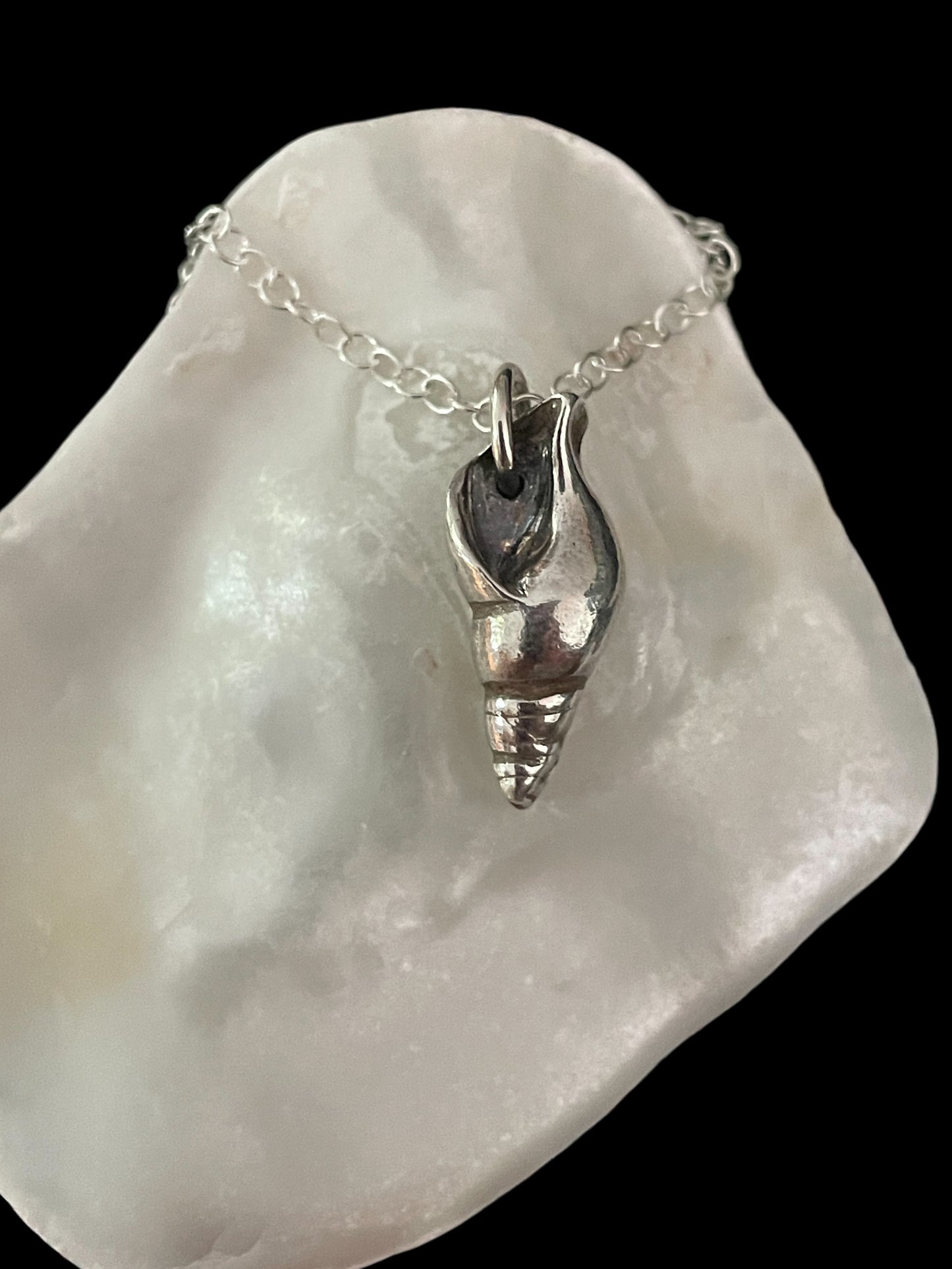 Smooth whelk pendant