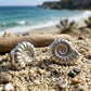 Two silver coloured spiral ammonite fossil shell earrings on a beach 