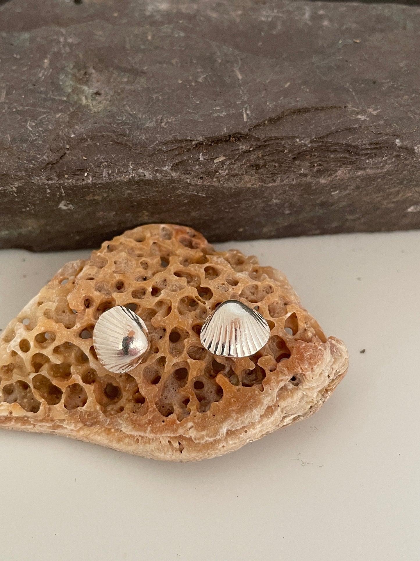 Dorset Cockle Shell earrings