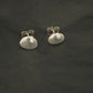 Dorset Cockle Shell earrings