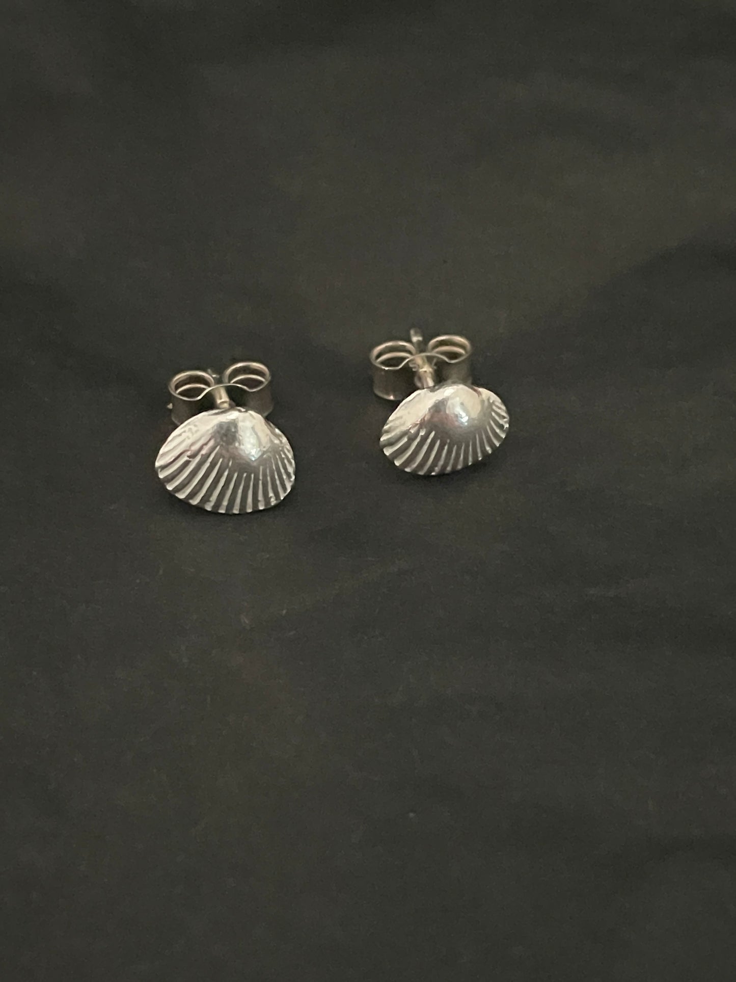 Dorset Cockle Shell earrings