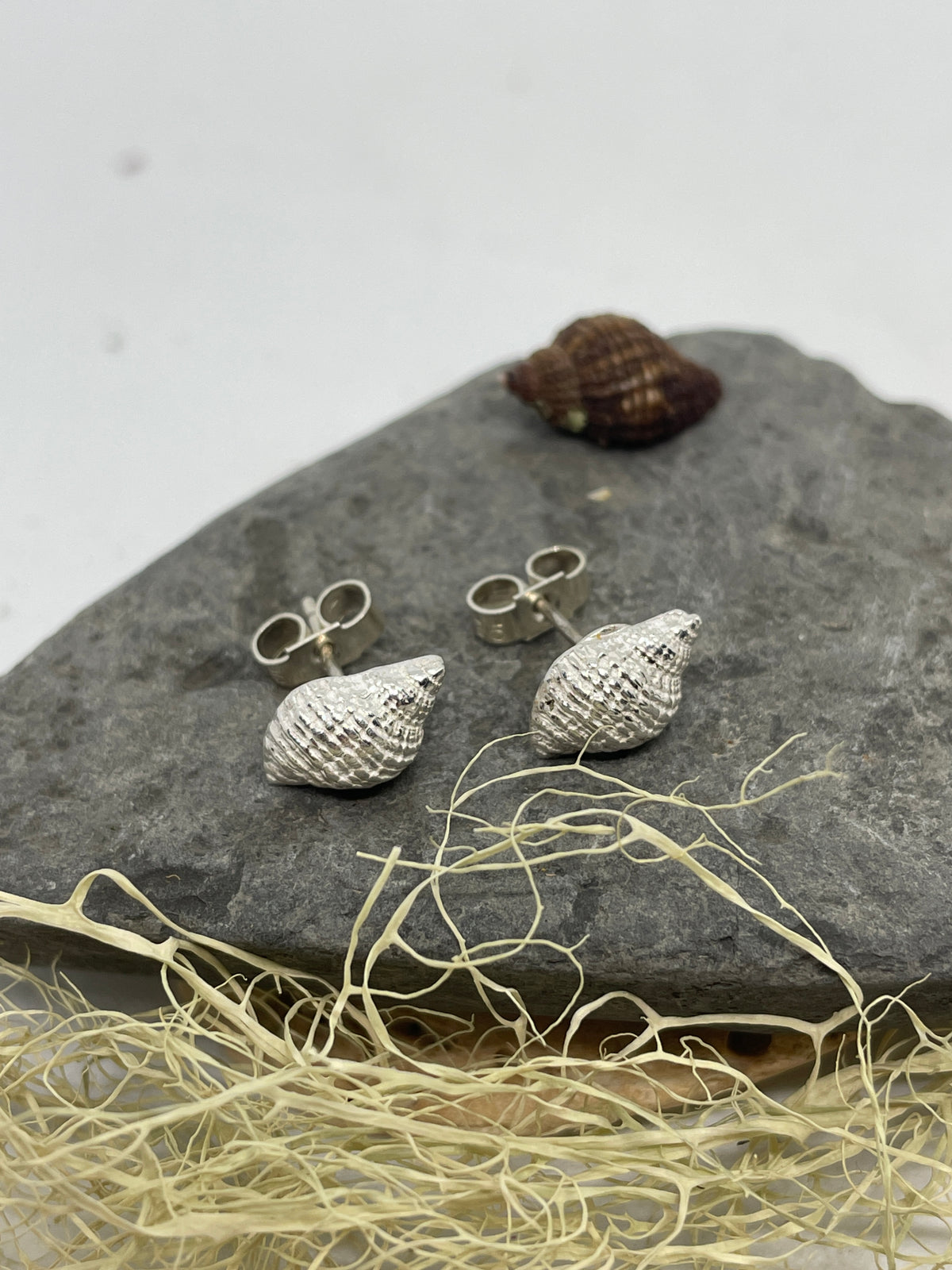 Silver whelk shell stud earrings lying on a stone 