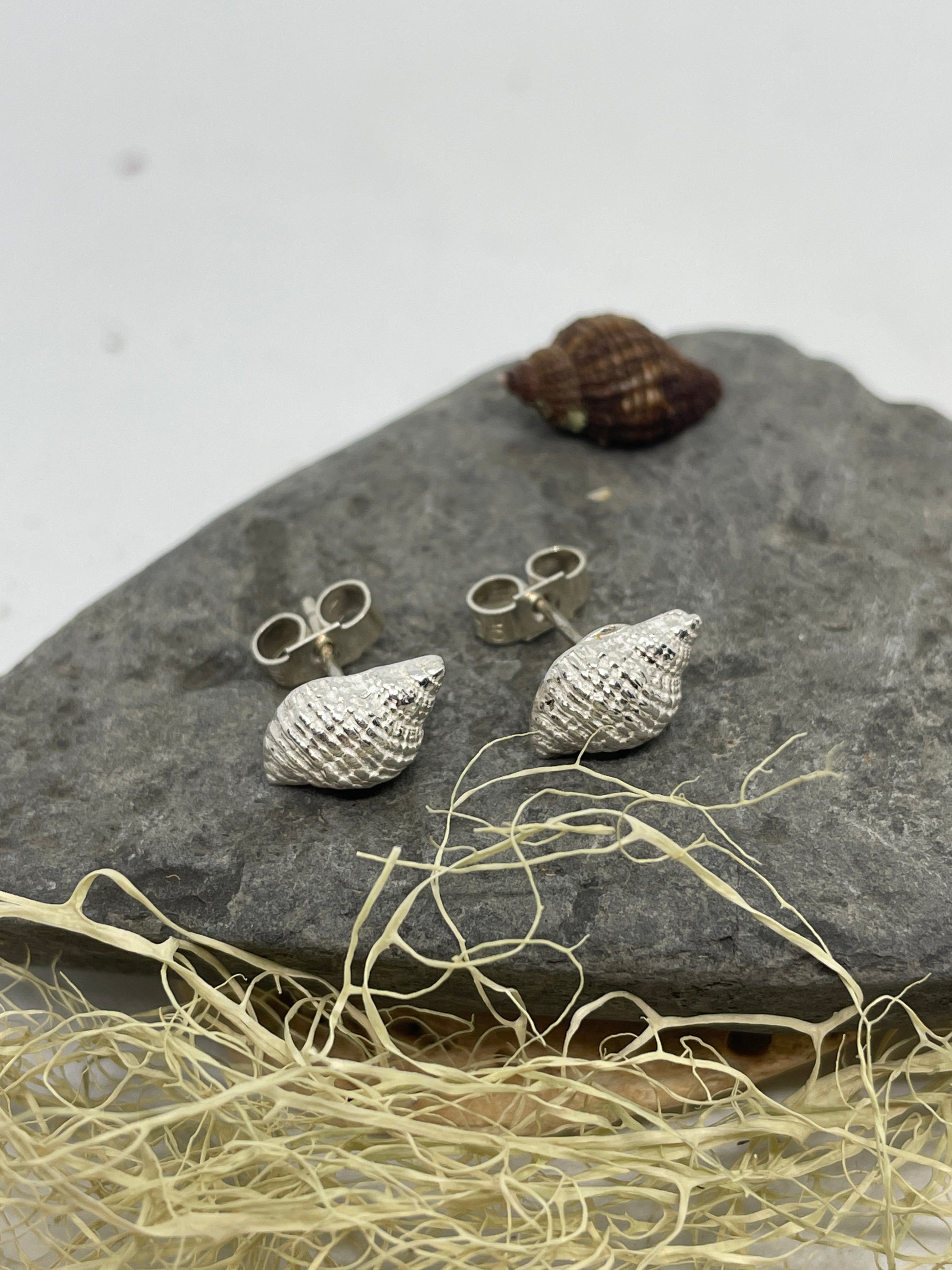 Silver whelk shell stud earrings lying on a stone 