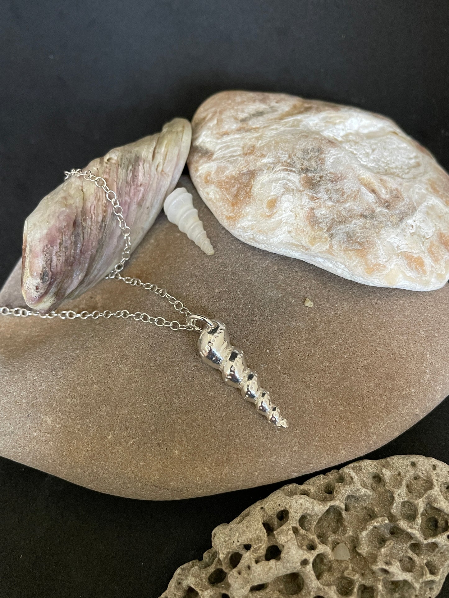 Dorset Auger Shell necklace